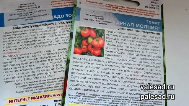 КОГДА СЕЯТЬ ТОМАТЫ в 2023г? Не спешите сеять рано! Рассказываю как рассчитать сроки посева смотреть онлайн