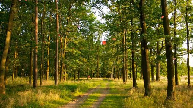 Красивая, расслабляющая музыка, приятная музыка! смотреть онлайн