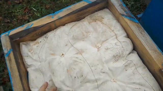 Пасека 16 ноября. смотреть онлайн