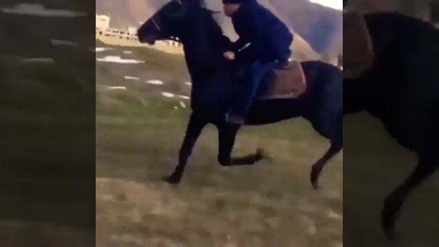 Иноходец . Американский рысак смотреть онлайн