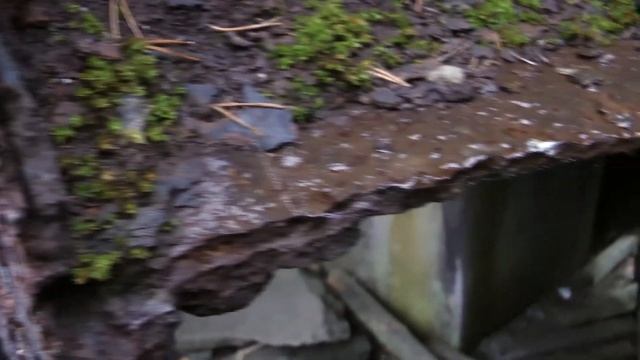 Форт "Ино" (Николаевский). смотреть онлайн