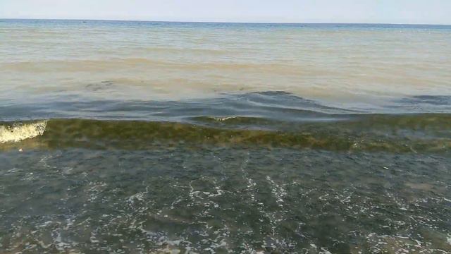 Водоросли наступают!#: Капец! Кирилловка 03.08.2017г. смотреть онлайн