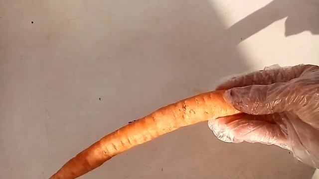 Лучший рецепт лечо. В поле за картошкой. 08.10.21. смотреть онлайн