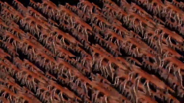 ТАРАКАН Сергей и его родители, бабушки, дедушки, друзья, знакомые флексят под татарстан супер гуд смотреть онлайн