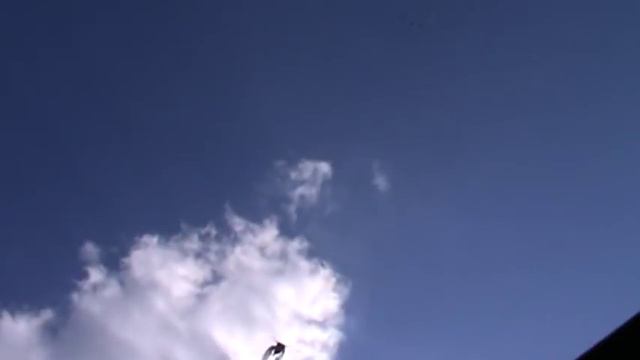 Бакинские бойные голуби Кулиша Сергея 11.05.2017 смотреть онлайн