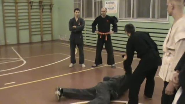 феникс джиу джитсу 43 смотреть онлайн