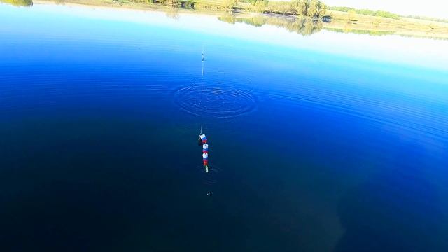 ? Эта приманка точно поймает щуку!!! Лучшая приманка для щуки осенью!!! смотреть онлайн