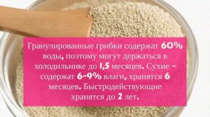 Как правильно хранить дрожжи в домашних условиях?