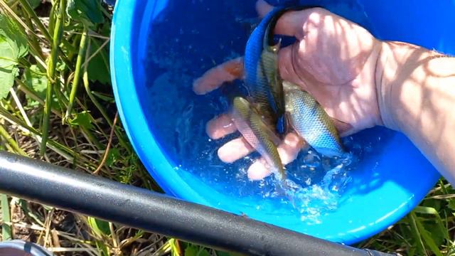 отличная рыбалка , 🐟 смотреть онлайн