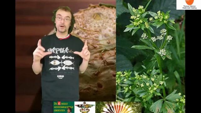 De geneeskracht van knolselderij смотреть онлайн