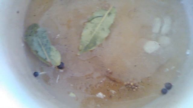 маринованые грибы шампиньоны на зиму смотреть онлайн