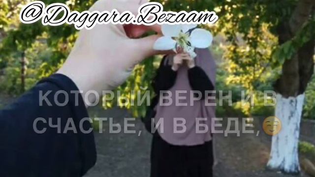 Йишин словаш❤️ смотреть онлайн