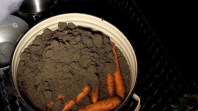 Супер способы как сохранить морковь и свеклу до следующего года. Урожай без потерь! смотреть онлайн