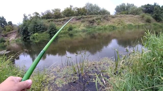 Рыбалка в августе на поплавок.Вечерняя плотва и попытка поймать щуку. смотреть онлайн