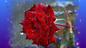 Футаж. Цветы под дождём 21