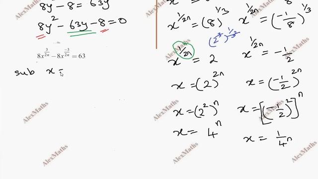 TN New Syllabus Class 12 Maths | Exercise 3.5 Q.No.3 | Theory of Equation | சமன்பாட்டியல் смотреть онлайн