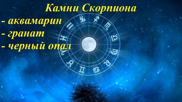 Камни по знакам зодиака. Знак Скорпион смотреть онлайн