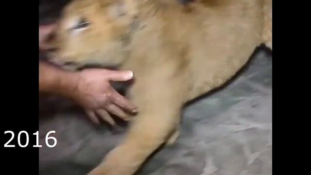 ,, Как Прекрасен  этот МИР