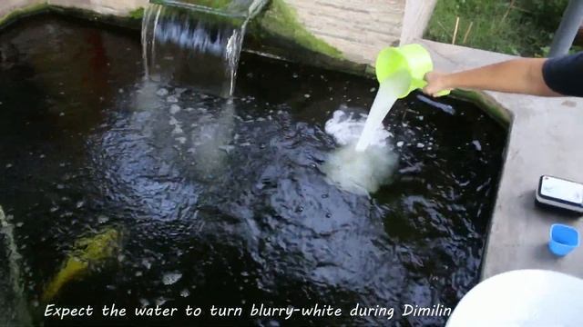 Dimilin for Anchor Worm Fish Lice смотреть онлайн