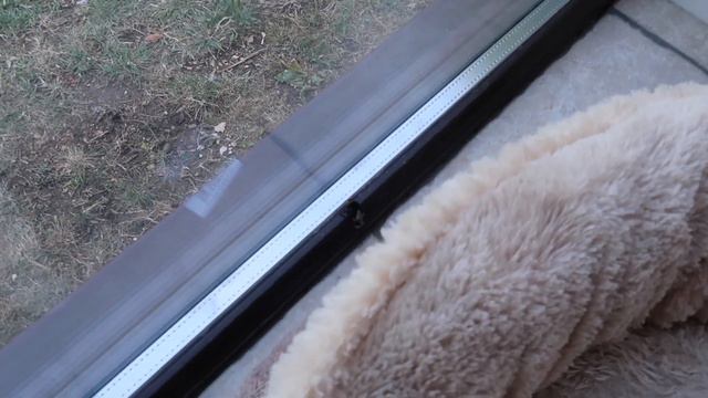 GET ULTRA PRODUCTIVE WITH ME | FULL WORK DAY (7AM TO 12AM WITH TIMINGS) смотреть онлайн