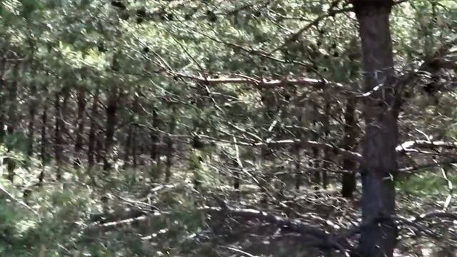 САМВЕЛ БРОСИЛ МЕЛОЧЬ В БАБУШКУ. ПОЧЕМУ ЕГО НОЧЬЮ ДУШИЛО.GRANDENIKO УЧЁБА ЗА ВЗЯТКИ