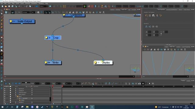 Настройки рендера в Toon Boom Harmony ноды Visibility, Scale Output, Crop смотреть онлайн