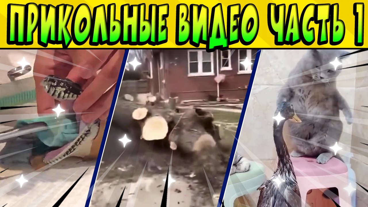 РЖАЧНЫЕ ВИДЕО ИЗ ИНЕТА Часть 1 смотреть онлайн
