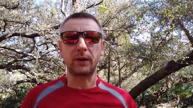 Ваша жизнь - это то, о чем Вы мечтали? смотреть онлайн