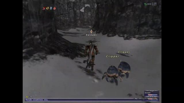 How to FFXI: World Transfer and its Effects on your Character [Returning Players] смотреть онлайн
