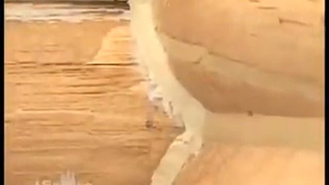 Заделка и утепление перерубов в срубе ( Conceal ) смотреть онлайн