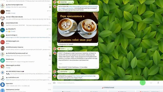 Telegram. Боты. Меню. Я создал БОТА легко! Мнение Baksomagnit.com смотреть онлайн