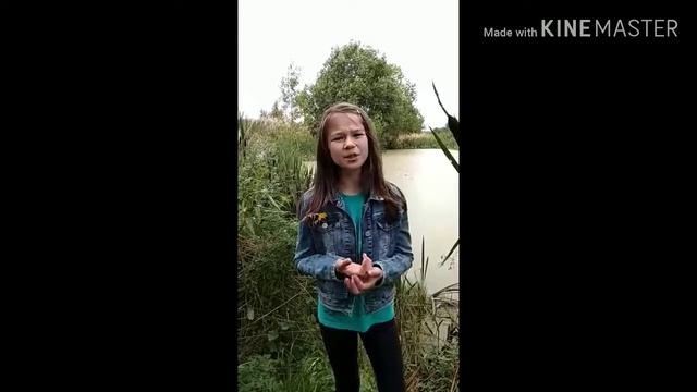 Стих Тимофея Белозерова "Карасик" Приятного просмотра! смотреть онлайн