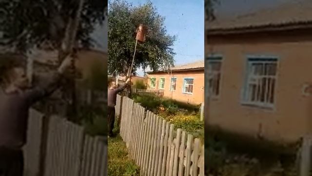 Раек в роевню на унирой смотреть онлайн