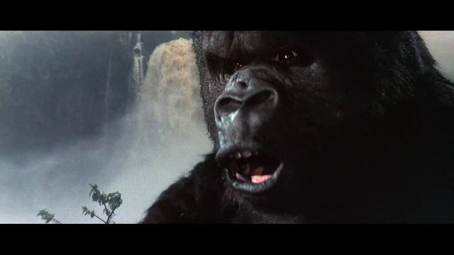 KING KONG | Best Scenes Starring Jessica Lange And Jeff Bridges
