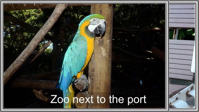 Cartagena, Colombia Картагена, Колумбия смотреть онлайн