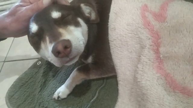 Манюньку обработали LEVOMECOL./Как назвать мальчика?/ ка