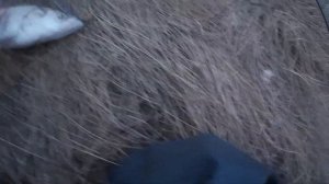 КРУПНАЯ НЕЛЬМА! Рыбалка на спиннинг на Иртыше