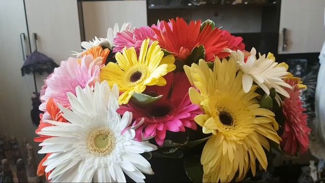 НЕ ВЕРЬ ТОЛПЕ... смотреть онлайн