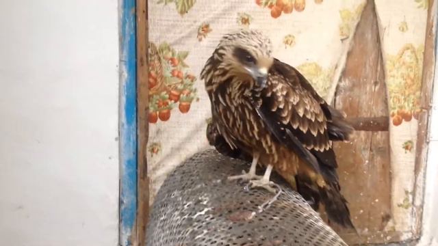 Беспилотник вечный ч.2 смотреть онлайн