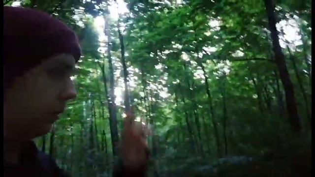 О том как я прошёл 50 тысяч шагов смотреть онлайн