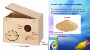Гнездовой домик для неразлучников