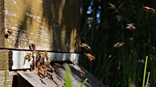 Муж моей любимой подруги ворвался в мою квартиру и овладел мною, а потом сказал, что разведётся… смотреть онлайн