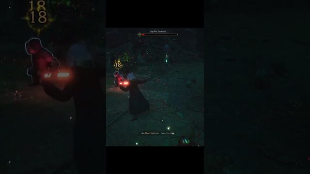 Hogwarts Legacy | taking out some goblins at hogwarts #ps5 #letsplay #hogwartslegacy #harrypotter смотреть онлайн