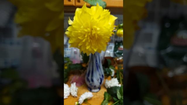 Георгины Ирины Гамезо смотреть онлайн