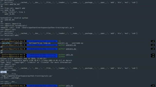 Python Modules and Packages смотреть онлайн