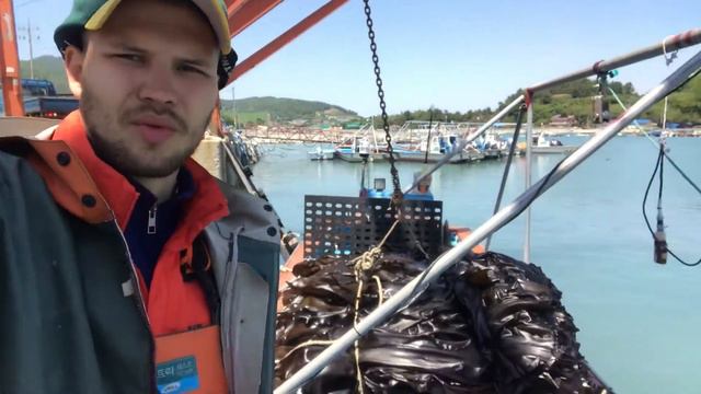 После выхода в море за ташимой смотреть онлайн