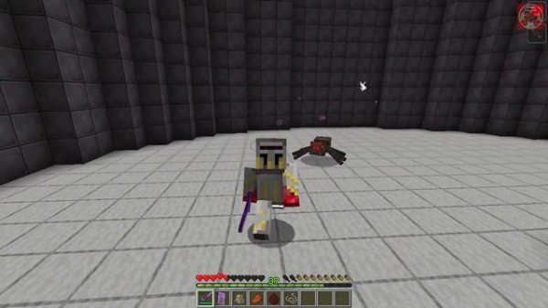 Mod Showcase #53: Totem Overhaul Mod (Minecraft 1.16.5)