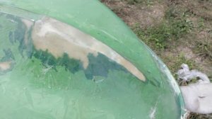 пластиковая лодка ремонт носа( 2 часть)