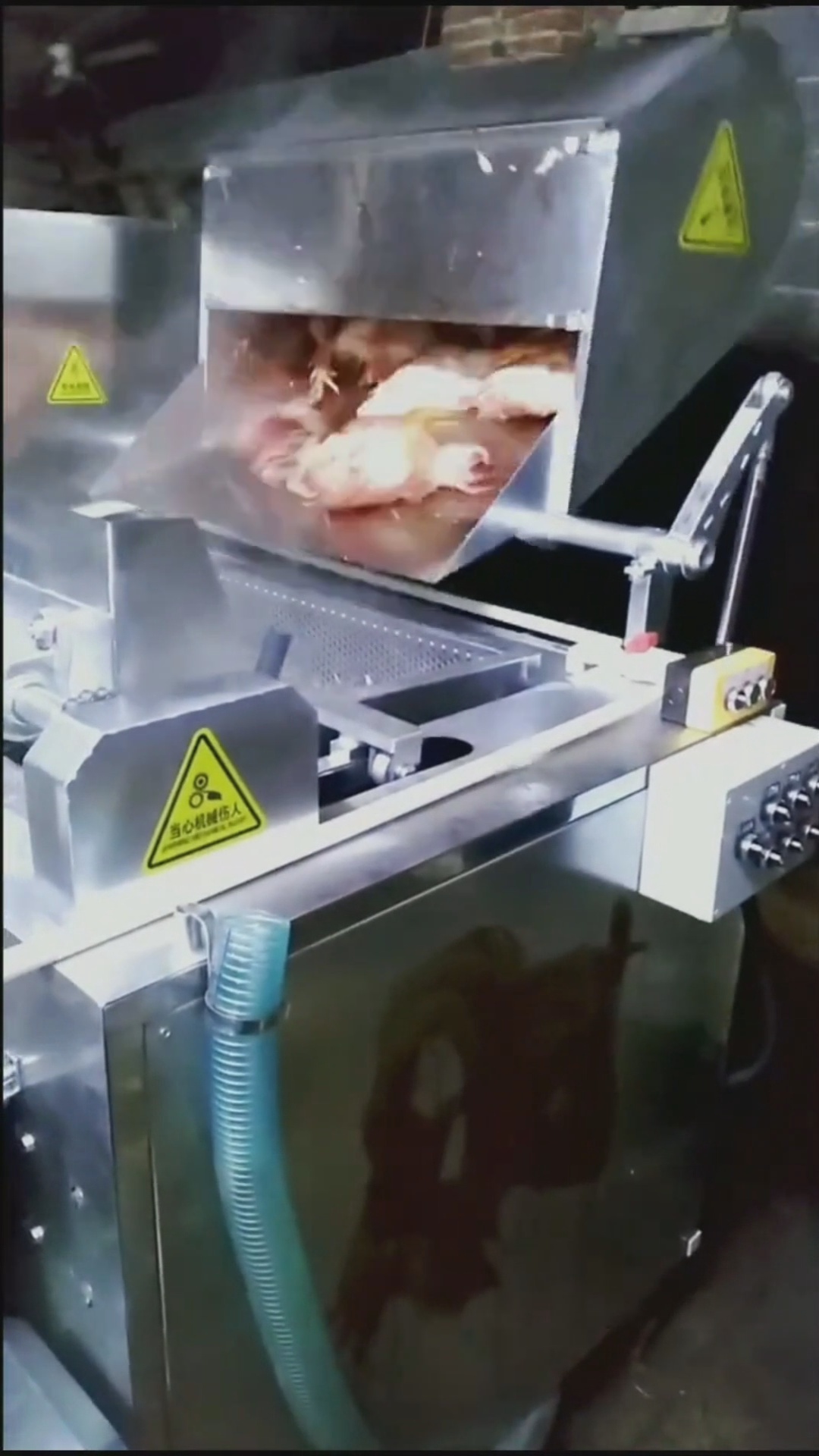 Chickens are scalded and plucking in 30 secs смотреть онлайн