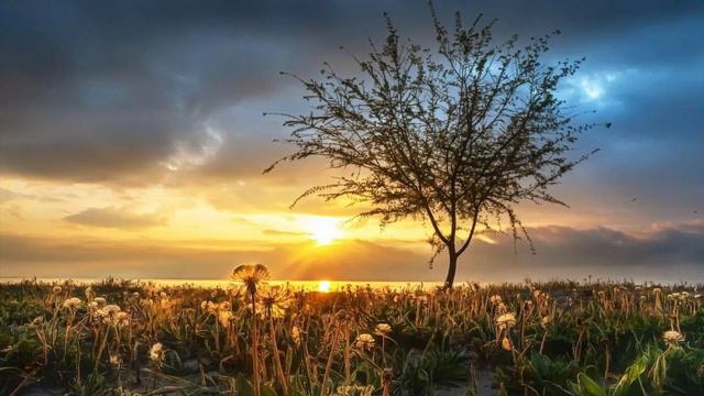 882.♫ .John Williams – Main Theme (from Schindler's List)к/ф «Список Шиндлера», исп.Gordan Nicolitch смотреть онлайн